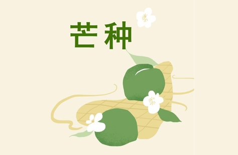 創(chuàng)洲木門(mén)丨芒種，是豐收也象征著新生